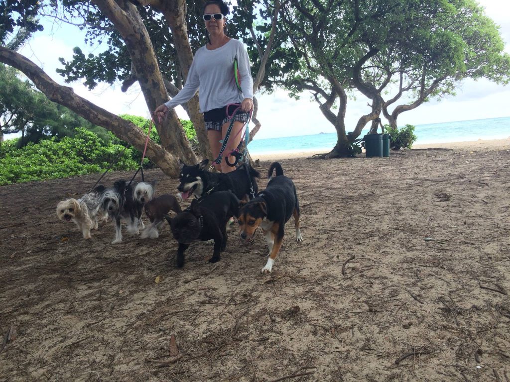 Dog Walking Service Hawaii