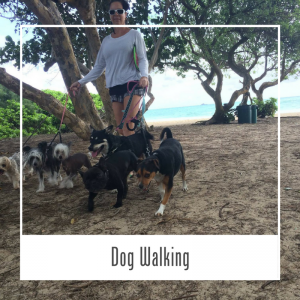 Dog Walking Service Hawaii