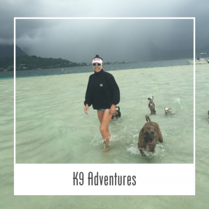 K9 Dog Adventure Service Hawaii