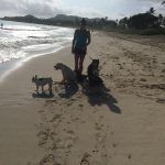 Oahu Dog Walking Service