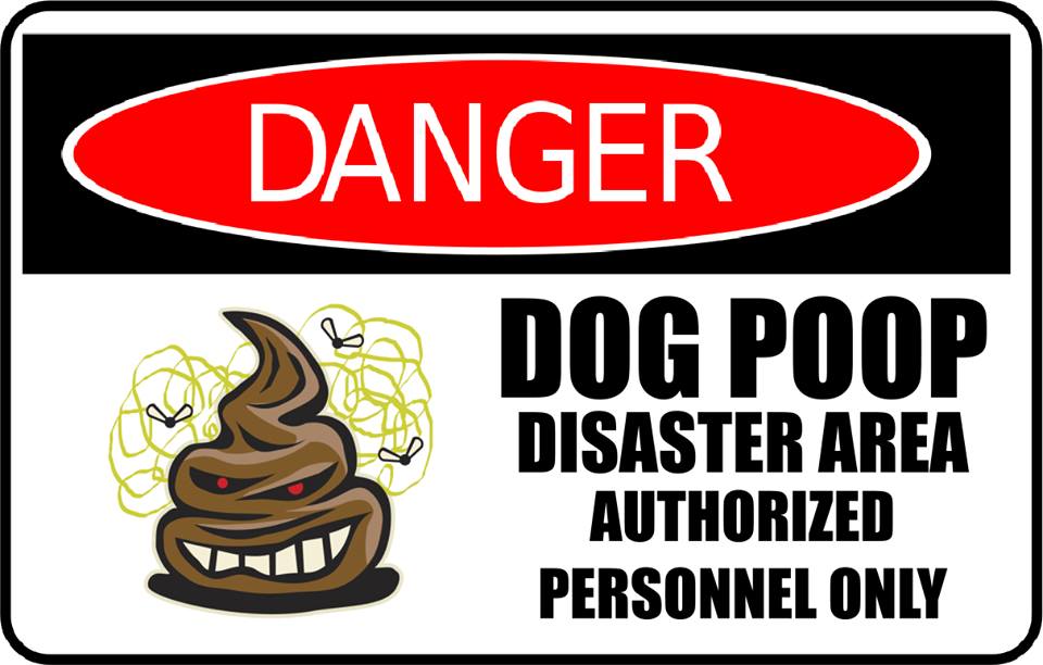 Dog Poop Disease Risks