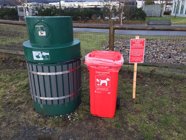have you ever thrown dog waste in the trash without a bag have you ever thrown dog waste in the trash without a bag