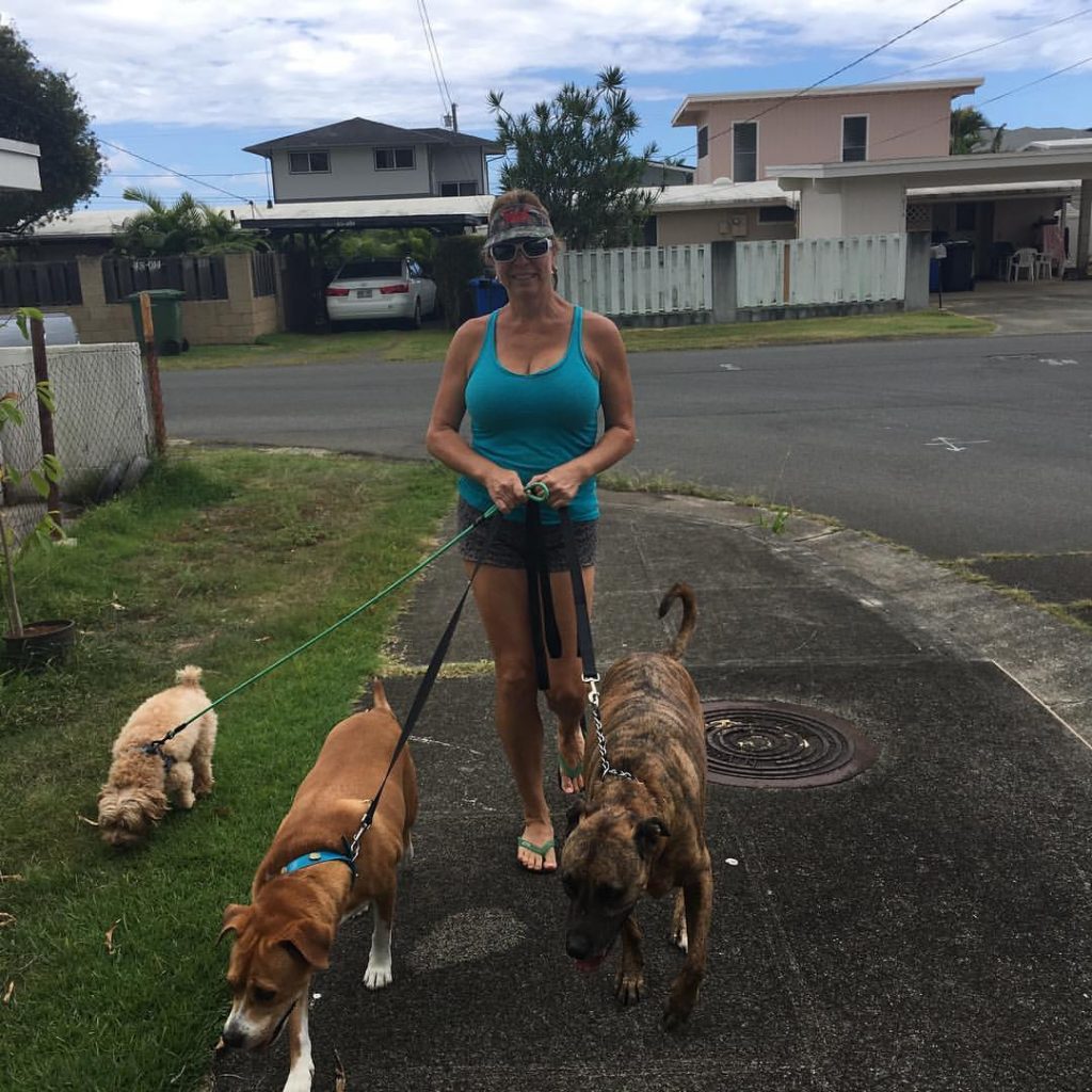 K9 Weight Loss Program Oahu