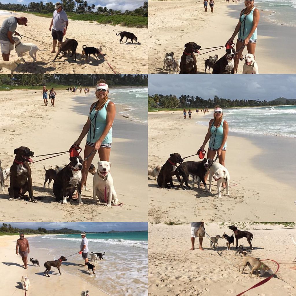 Pet Services Oahu