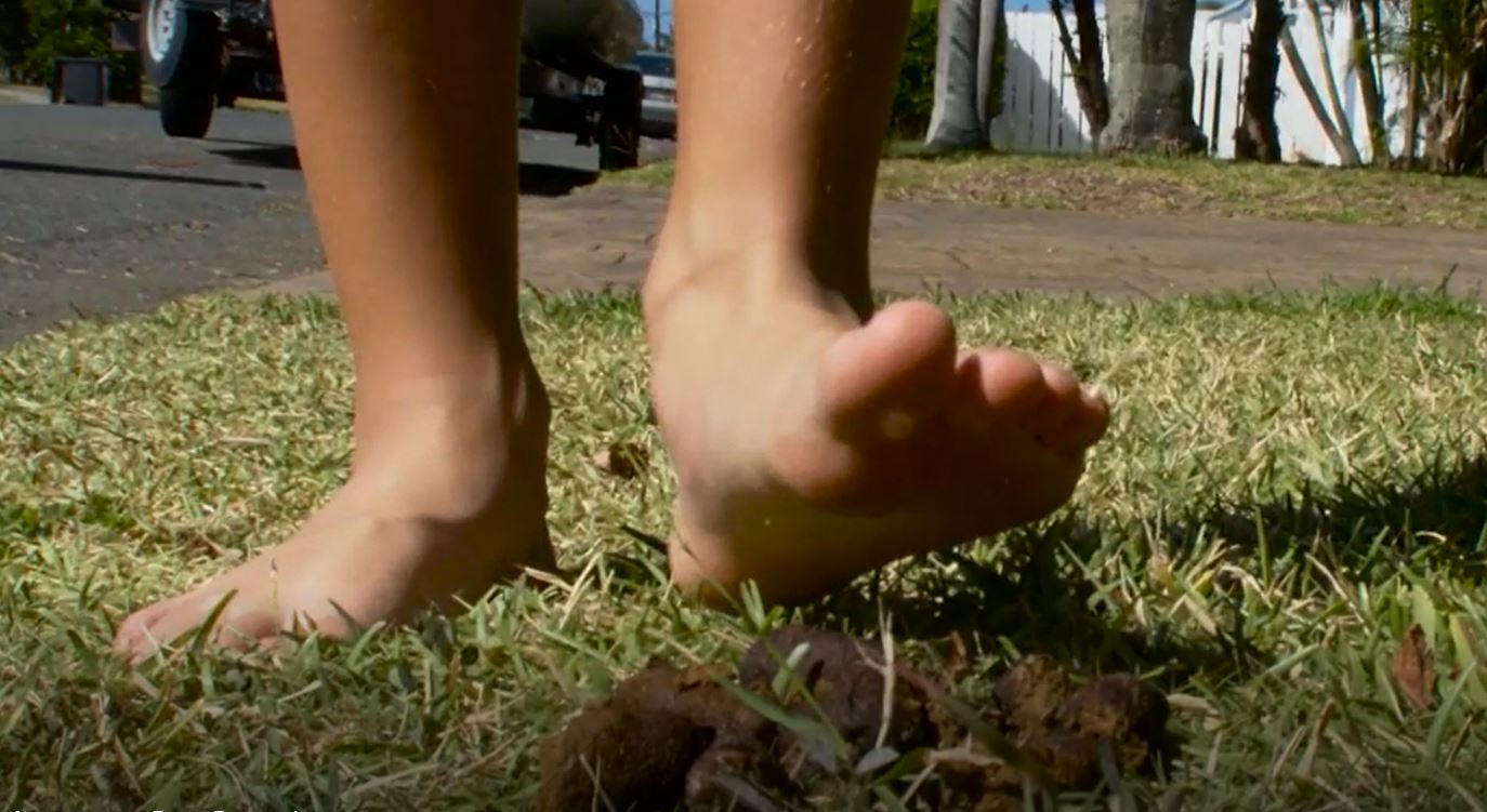 Stepping on Dog Poop Equals “Good Luck” Superstition Got Poo? Pet