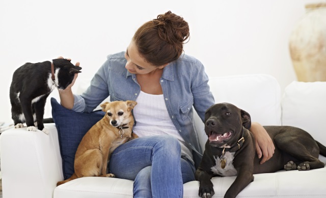 In Home Pet Sitting Services Oahu